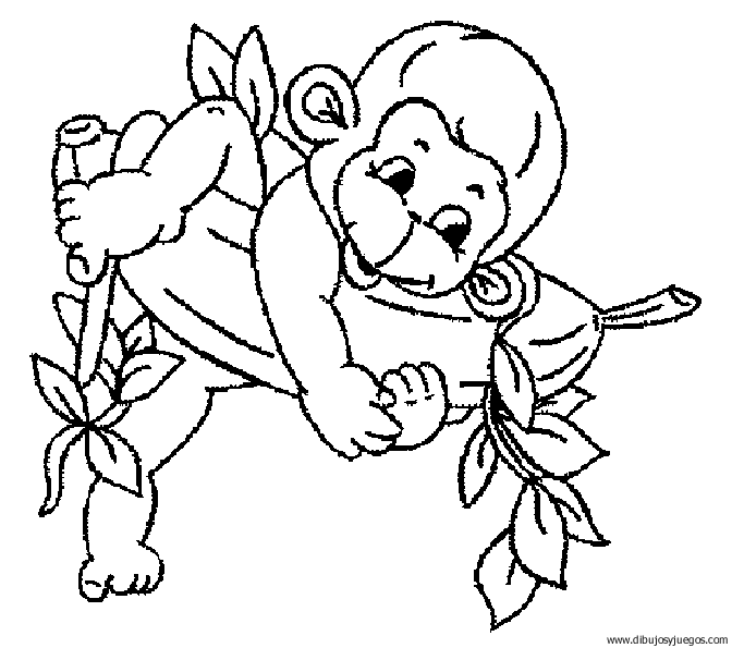 Dibujos para colorear de monos arañas - Imagui Dibujos para colorear de monos arañas - Imagui