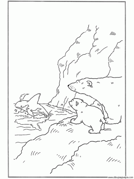 Dibujos para colorear de osos polares - Imagui Dibujos para colorear de osos polares - Imagui
