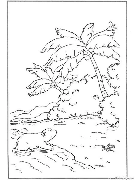 dibujo-de-oso-polar-007 | Dibujos y juegos, para pintar y colorear dibujo-de-oso-polar-007 | Dibujos y juegos, para pintar y colorear