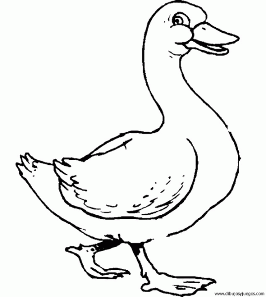 dibujo-de-pato-006 | Dibujos y juegos, para pintar y colorear