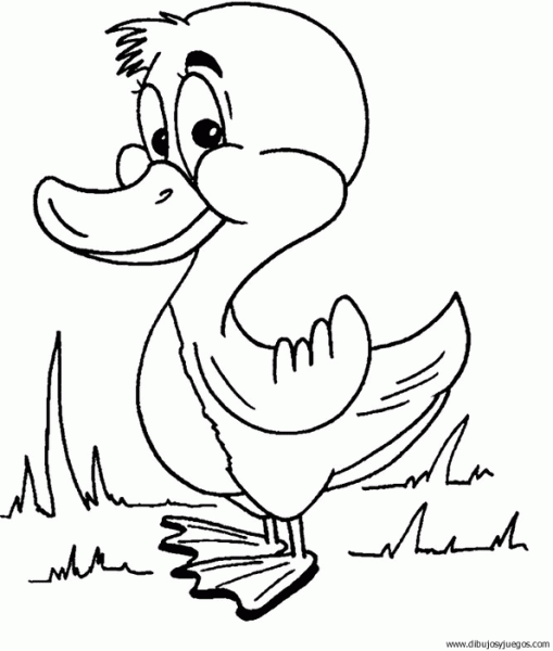 dibujo-de-pato-011 | Dibujos y juegos, para pintar y colorear