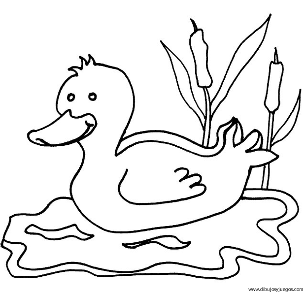 dibujo-de-pato-012 | Dibujos y juegos, para pintar y colorear dibujo-de-pato-012 | Dibujos y juegos, para pintar y colorear