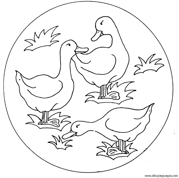 dibujo-de-pato-019 | Dibujos y juegos, para pintar y colorear dibujo-de-pato-019 | Dibujos y juegos, para pintar y colorear