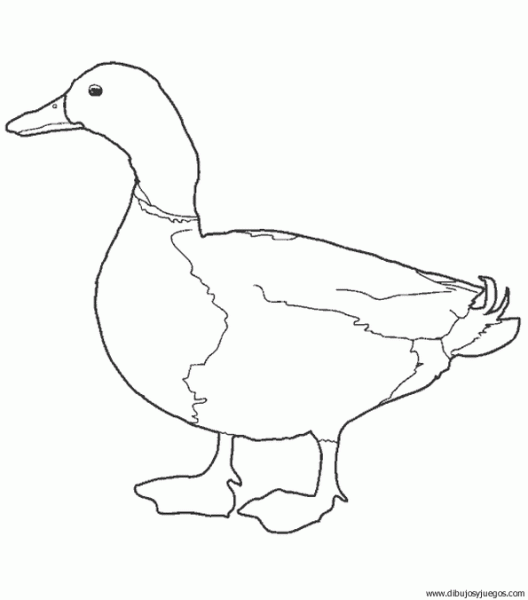 dibujo-de-pato-028 | Dibujos y juegos, para pintar y colorear