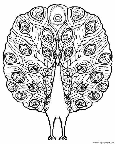 dibujo-de-pavo-011 | Dibujos y juegos, para pintar y colorear dibujo-de-pavo-011 | Dibujos y juegos, para pintar y colorear
