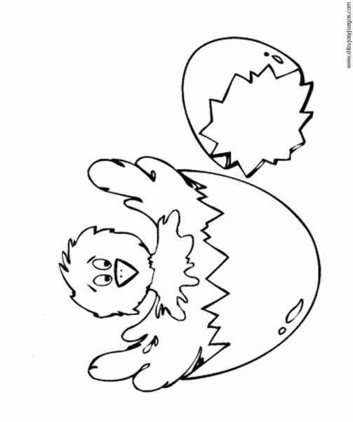 Dibujo de pollito naciendo para colorear - Imagui Dibujo de pollito naciendo para colorear - Imagui
