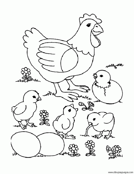 dibujo-de-pollito-005 | Dibujos y juegos, para pintar y colorear