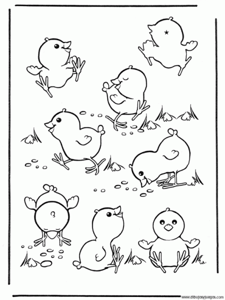 dibujo-de-pollito-010 | Dibujos y juegos, para pintar y colorear