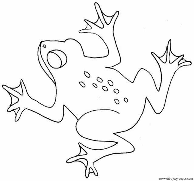 dibujo-de-rana-019 | Dibujos y juegos, para pintar y colorear dibujo-de-rana-019 | Dibujos y juegos, para pintar y colorear