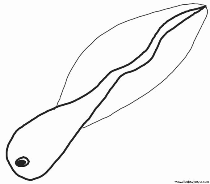 dibujo-de-rana-026 | Dibujos y juegos, para pintar y colorear dibujo-de-rana-026 | Dibujos y juegos, para pintar y colorear