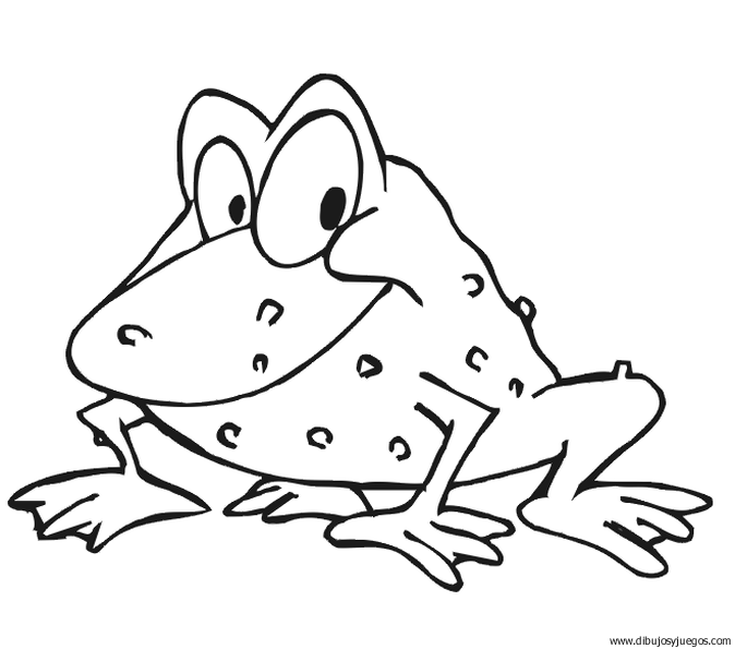 dibujo-de-rana-031 | Dibujos y juegos, para pintar y colorear dibujo-de-rana-031 | Dibujos y juegos, para pintar y colorear