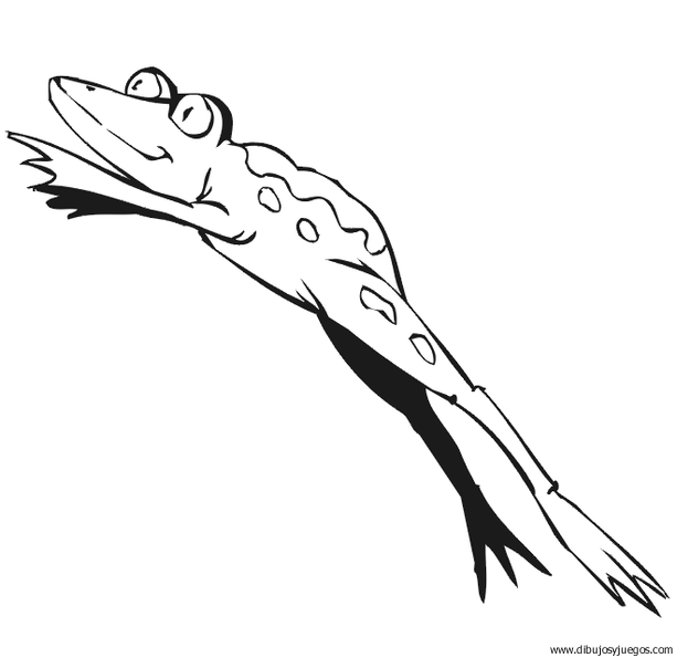 dibujo-de-rana-039 | Dibujos y juegos, para pintar y colorear dibujo-de-rana-039 | Dibujos y juegos, para pintar y colorear