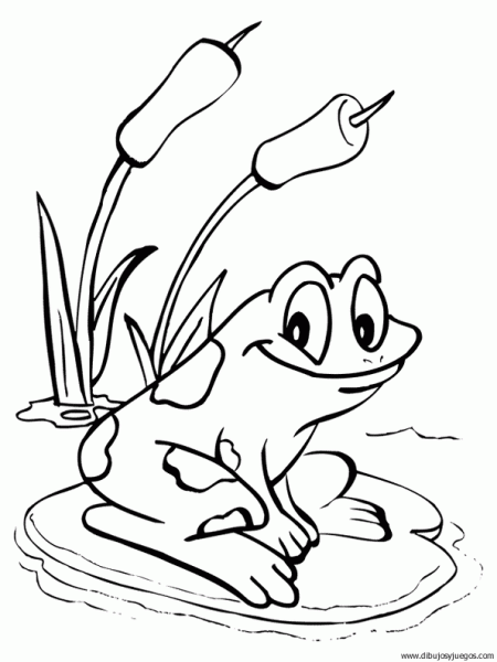 dibujo-de-rana-063 | Dibujos y juegos, para pintar y colorear dibujo-de-rana-063 | Dibujos y juegos, para pintar y colorear