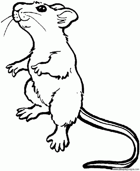 dibujo-de-raton-027 | Dibujos y juegos, para pintar y colorear dibujo-de-raton-027 | Dibujos y juegos, para pintar y colorear