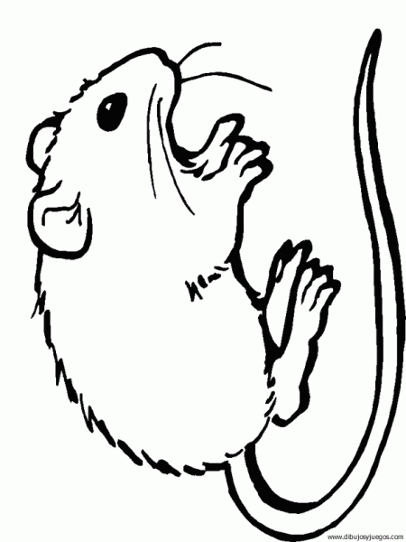 dibujo-de-raton-045 | Dibujos y juegos, para pintar y colorear dibujo-de-raton-045 | Dibujos y juegos, para pintar y colorear