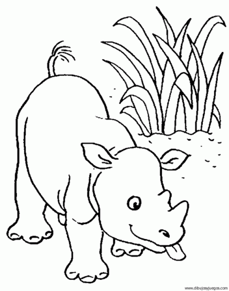 dibujo-de-rinoceronte-012 | Dibujos y juegos, para pintar y colorear dibujo-de-rinoceronte-012 | Dibujos y juegos, para pintar y colorear