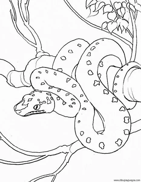 Dibujo serpiente para colorear e imprimir - Imagui