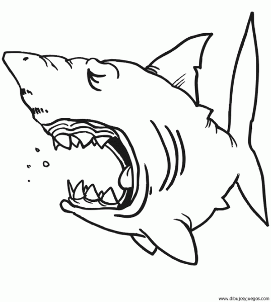 dibujo-de-tiburon-038 | Dibujos y juegos, para pintar y colorear dibujo-de-tiburon-038 | Dibujos y juegos, para pintar y colorear