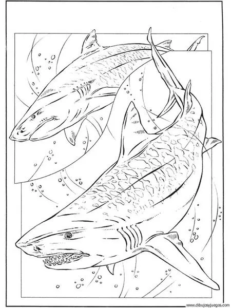 dibujo-de-tiburon-045 | Dibujos y juegos, para pintar y colorear