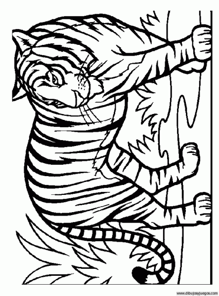 dibujo-de-tigre-010 | Dibujos y juegos, para pintar y colorear dibujo-de-tigre-010 | Dibujos y juegos, para pintar y colorear