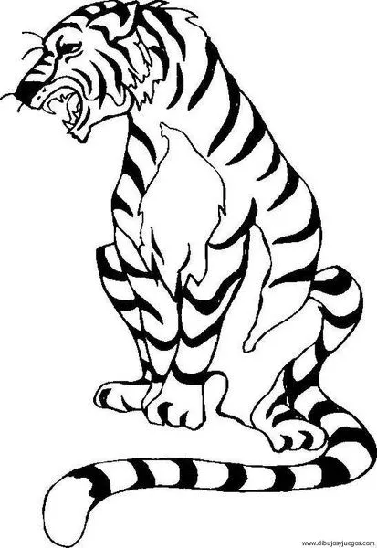 dibujo-de-tigre-030 | Dibujos y juegos, para pintar y colorear dibujo-de-tigre-030 | Dibujos y juegos, para pintar y colorear
