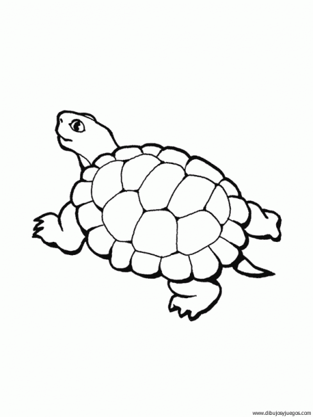 dibujo-de-tortuga-052 | Dibujos y juegos, para pintar y colorear dibujo-de-tortuga-052 | Dibujos y juegos, para pintar y colorear
