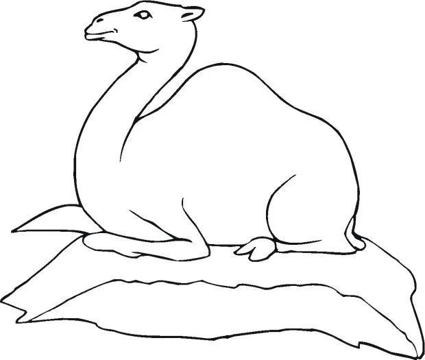 dibujo-de-un-dromedario-para- ...
