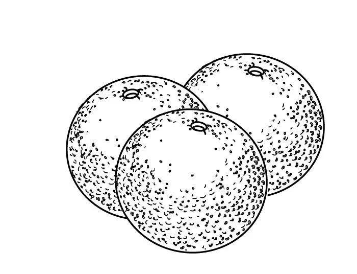 dibujo-de-una-naranja-para- ...