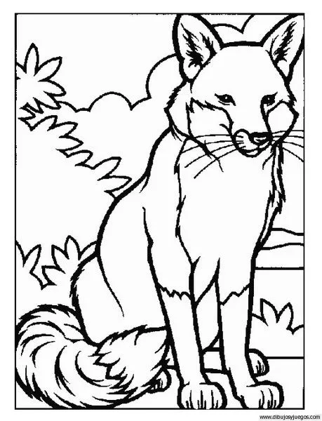 dibujo-de-zorro-001 | Dibujos y juegos, para pintar y colorear