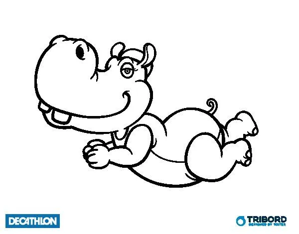 Dibujo de Decathlon - Hipopótamo nadador para Colorear - Dibujos.net
