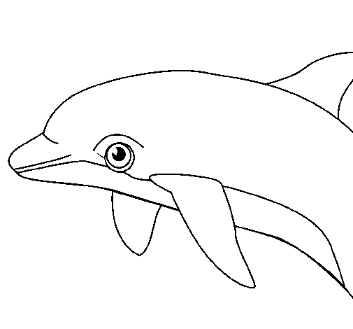 Dibujo de Delfín para Colorear - Dibujos.net Dibujo de Delfín para Colorear - Dibujos.net