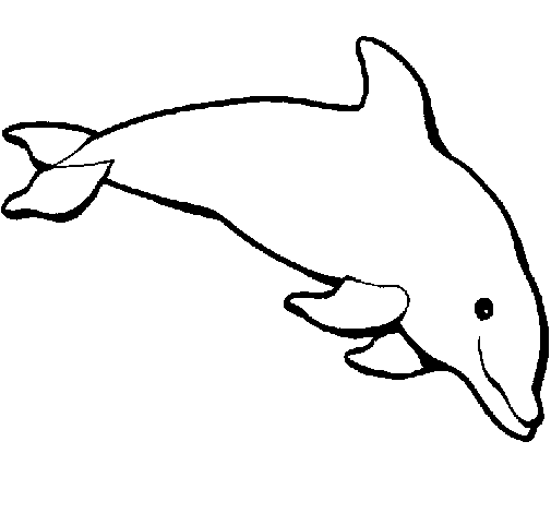 Dibujo de Delfín contento para Colorear - Dibujos.net Dibujo de Delfín contento para Colorear - Dibujos.net