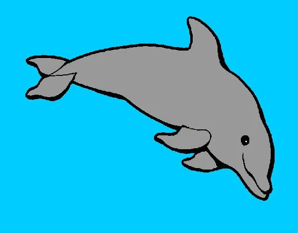 Dibujo de Delfín contento pintado por Valuuuuu en Dibujos.net el ...