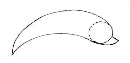 dibujo-delfin-etapa2-source_3 ...