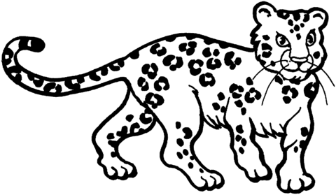 Dibujo de Dibujo de un Cachorro de Leopardo para colorear ...