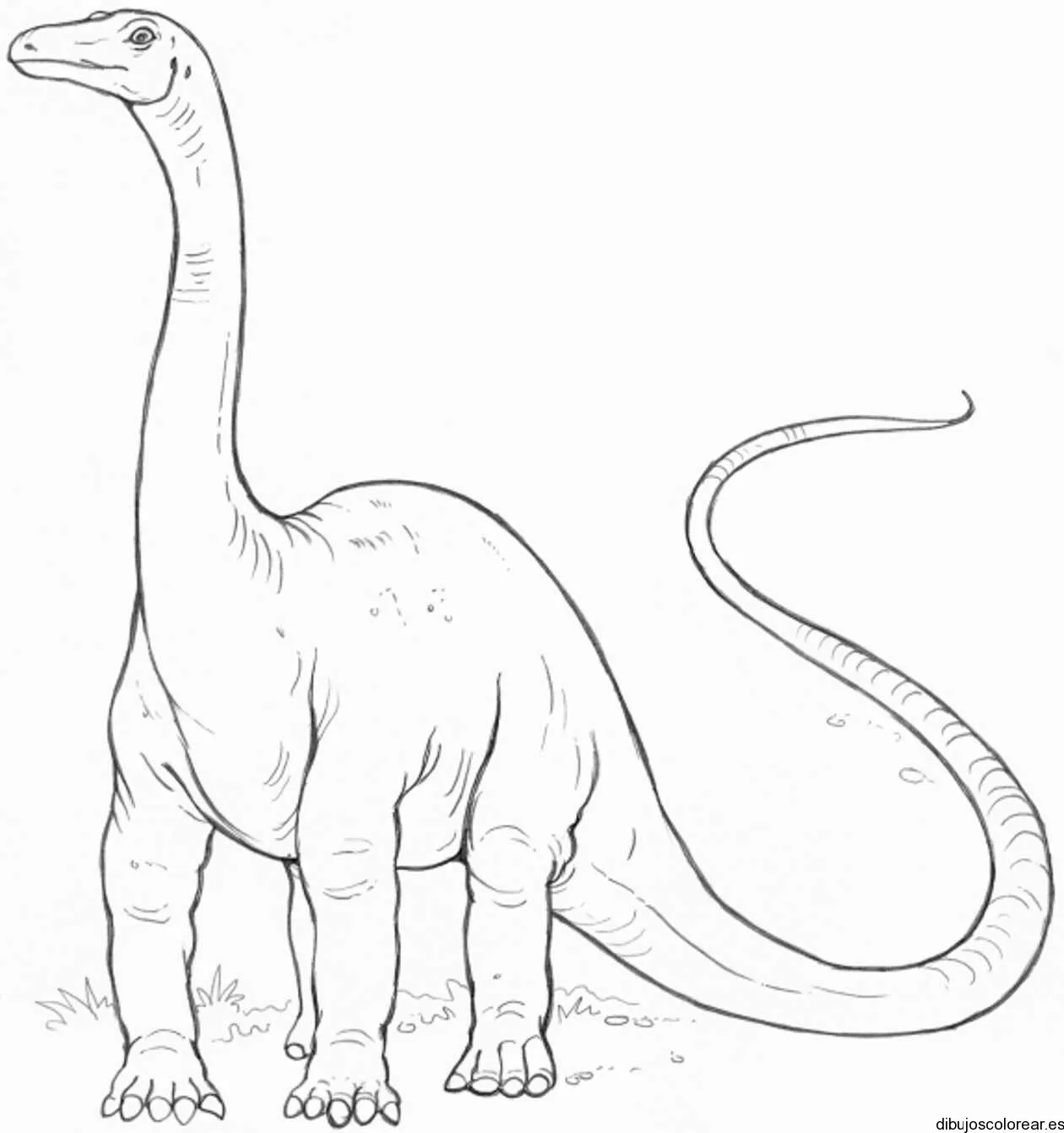 Dibujo de un dinosaurio de cuello largo | Dibujos para Colorear Dibujo de un dinosaurio de cuello largo | Dibujos para Colorear