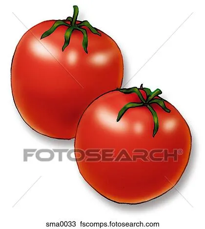Dibujo - dos, tomates sma0033 - Buscar Clip Art, Ilustraciones de ...