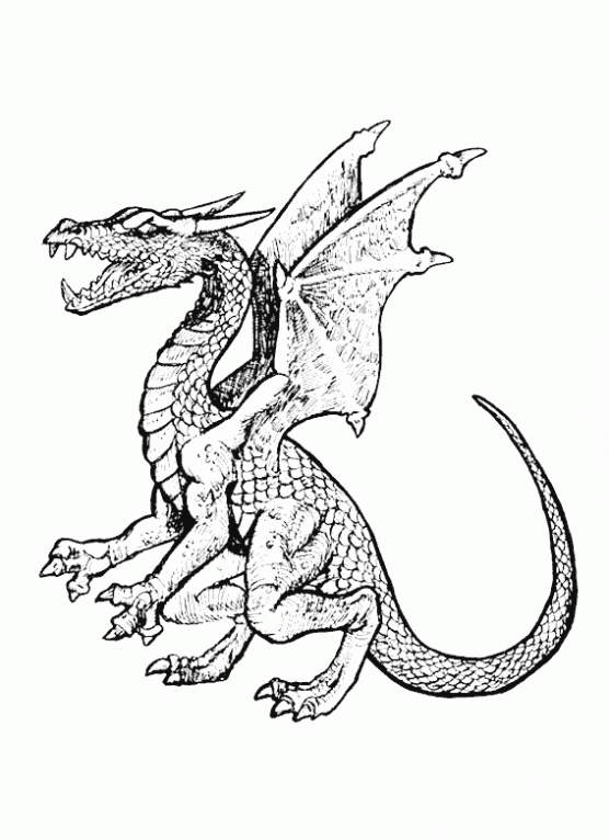 Dibujo de Dragón para colorear. Dibujos infantiles de Dragón ... Dibujo de Dragón para colorear. Dibujos infantiles de Dragón ...
