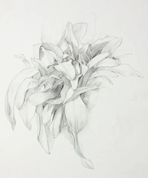 Dibujo | Drawing | Javier Aramburu