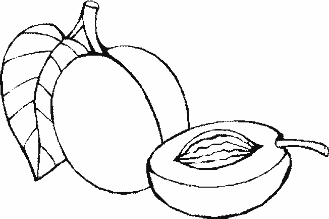 Dibujo de un durazno para colorear - Imagui Dibujo de un durazno para colorear - Imagui