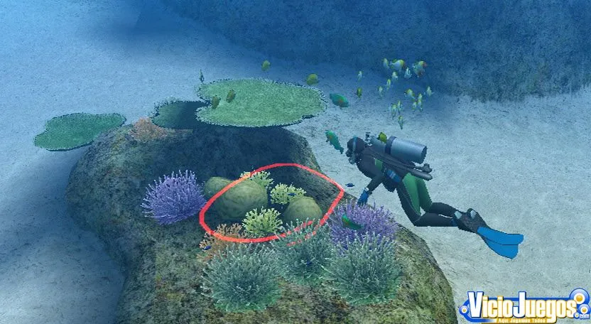 Análisis de Endless Ocean para Wii >> Nadando entre corales