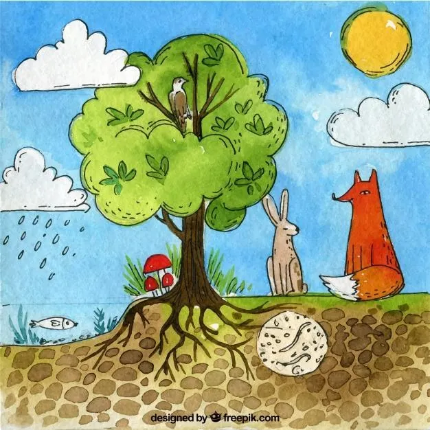 dibujo del ecosistema terrestre ayudenme por favor ciencia naturales - Brainly.lat dibujo del ecosistema terrestre ayudenme por favor ciencia naturales - Brainly.lat