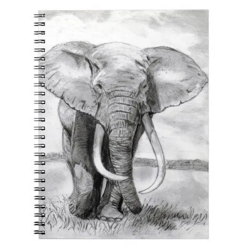 dibujo del elefante africano en diseño del lápiz cuaderno | Zazzle dibujo del elefante africano en diseño del lápiz cuaderno | Zazzle