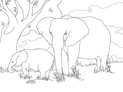 Dibujo de Elefante Africano de Sabana para colorear | Dibujos para ...
