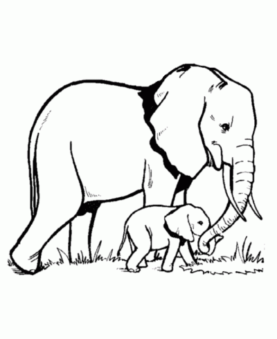 Dibujo de Elefante con su cría. Dibujo para colorear de Elefante ... Dibujo de Elefante con su cría. Dibujo para colorear de Elefante ...