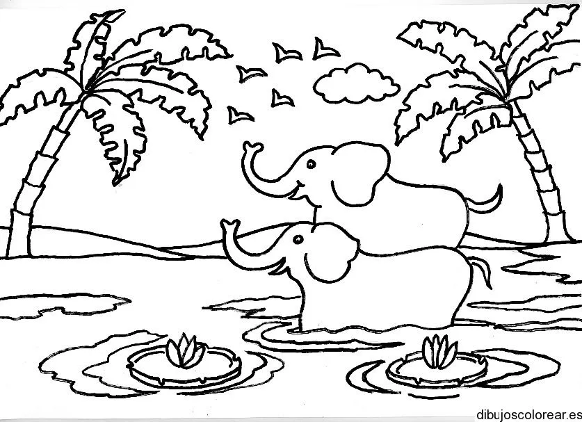 Dibujo de dos elefantes en un lago | Dibujos para Colorear Dibujo de dos elefantes en un lago | Dibujos para Colorear