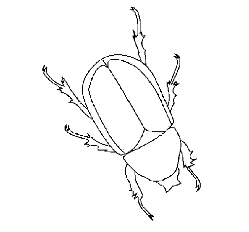 Dibujo de Escarabajo para Colorear - Dibujos.net Dibujo de Escarabajo para Colorear - Dibujos.net