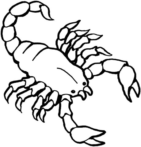 Dibujo de Escorpión para colorear | Dibujos para colorear imprimir ... Dibujo de Escorpión para colorear | Dibujos para colorear imprimir ...