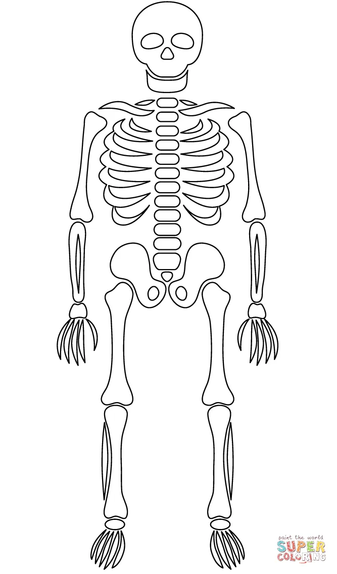 Dibujo de Esqueleto para colorear | Dibujos para colorear imprimir gratis Dibujo de Esqueleto para colorear | Dibujos para colorear imprimir gratis