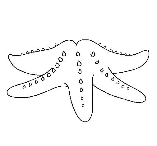 Dibujo de Estrella de mar 2 para Colorear - Dibujos.net Dibujo de Estrella de mar 2 para Colorear - Dibujos.net